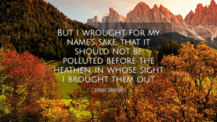 Picture 05 - Ezekiel 20:14 KJV Desktop Wallpaper - But I wrought for my name's sake, that it should - Desktop Bible Verse Wallpaper