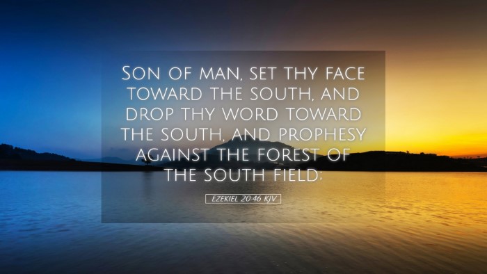 Picture 05 - Ezekiel 20:46 KJV Desktop Wallpaper - Son of man, set thy face toward the south, and - Desktop Bible Verse Wallpaper