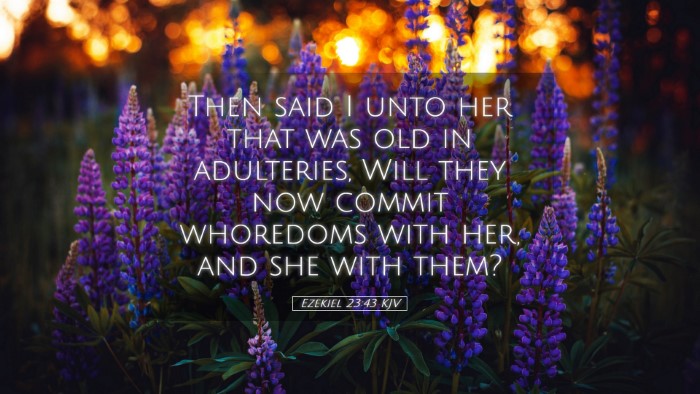 Picture 05 - Ezekiel 23:43 KJV Desktop Wallpaper - Then said I unto her that was old in adulteries, - Desktop Bible Verse Wallpaper
