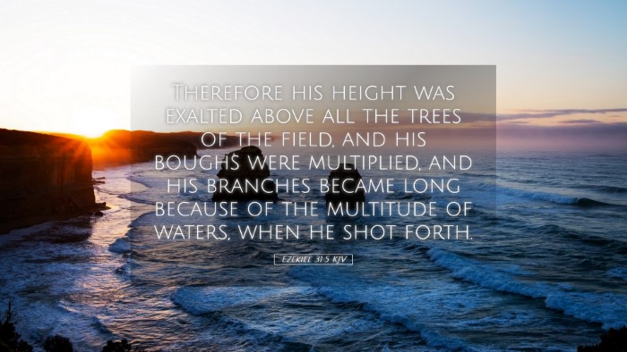 Picture 05 - Ezekiel 31:5 KJV Desktop Wallpaper - Therefore his height was exalted above all the - Desktop Bible Verse Wallpaper