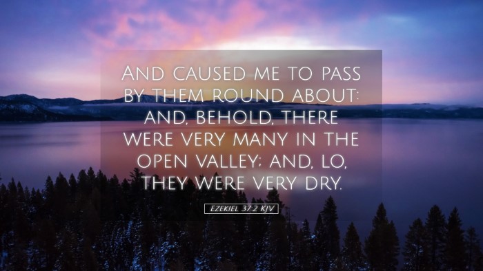Picture 05 - Ezekiel 37:2 KJV Desktop Wallpaper - And caused me to pass by them round about: and, - Desktop Bible Verse Wallpaper