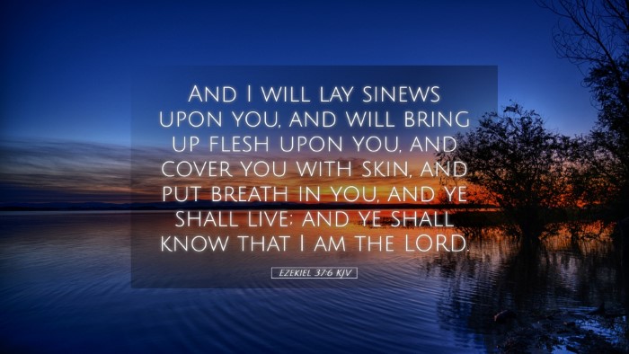 Picture 05 - Ezekiel 37:6 KJV Desktop Wallpaper - And I will lay sinews upon you, and will bring up - Desktop Bible Verse Wallpaper