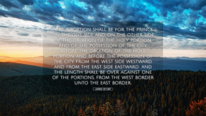 Picture 05 - Ezekiel 45:7 KJV Desktop Wallpaper - And a portion shall be for the prince on the one - Desktop Bible Verse Wallpaper