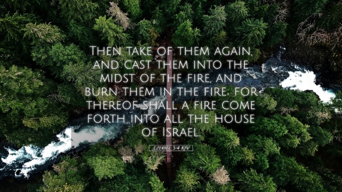 Picture 05 - Ezekiel 5:4 KJV Desktop Wallpaper - Then take of them again, and cast them into the - Desktop Bible Verse Wallpaper
