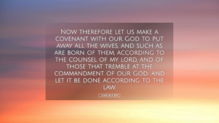 Picture 05 - Ezra 10:3 KJV Desktop Wallpaper - Now therefore let us make a covenant with our God - Desktop Bible Verse Wallpaper