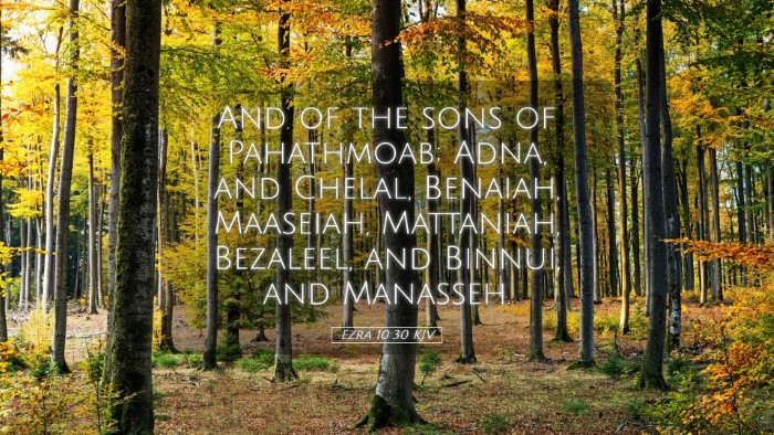 Picture 05 - Ezra 10:30 KJV Desktop Wallpaper - And of the sons of Pahathmoab; Adna, and Chelal, - Desktop Bible Verse Wallpaper