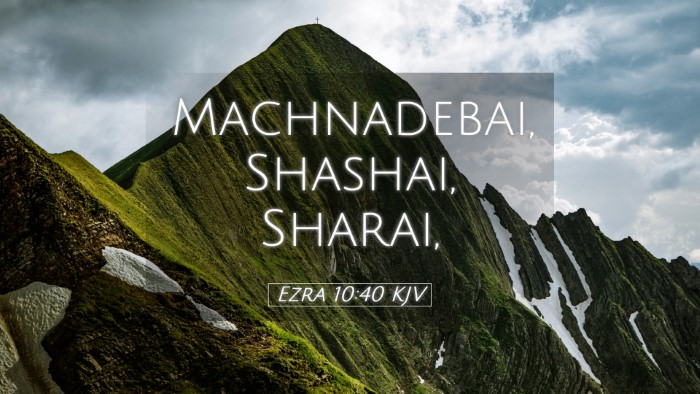Picture 05 - Ezra 10:40 KJV Desktop Wallpaper - Machnadebai, Shashai, - Desktop Bible Verse Wallpaper