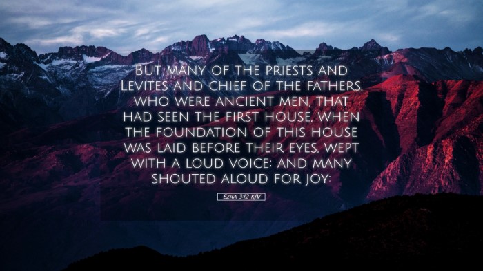 Picture 05 - Ezra 3:12 KJV Desktop Wallpaper - But many of the priests and Levites and chief of - Desktop Bible Verse Wallpaper