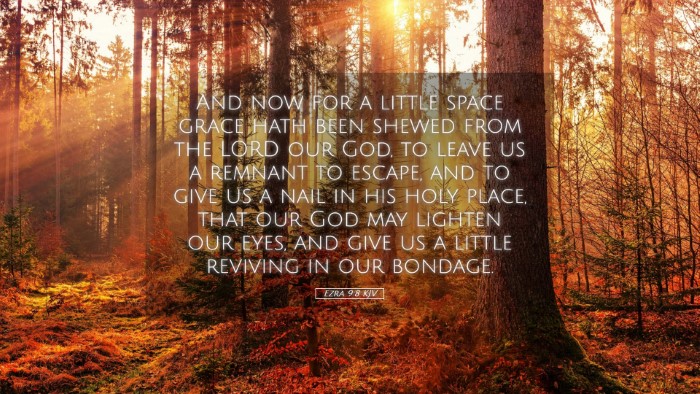 Picture 05 - Ezra 9:8 KJV Desktop Wallpaper - And now for a little space grace hath been shewed - Desktop Bible Verse Wallpaper