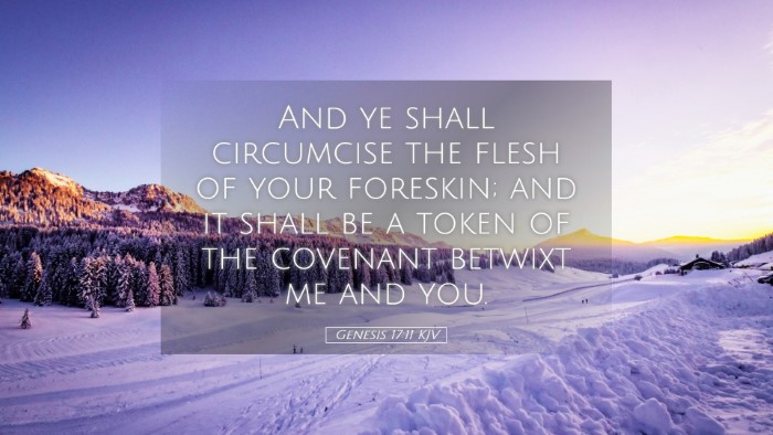 Picture 05 - Genesis 17:11 KJV Desktop Wallpaper - And ye shall circumcise the flesh of your - Desktop Bible Verse Wallpaper