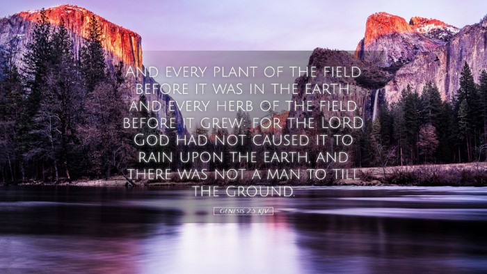 Picture 05 - Genesis 2:5 KJV Desktop Wallpaper - And every plant of the field before it was in the - Desktop Bible Verse Wallpaper