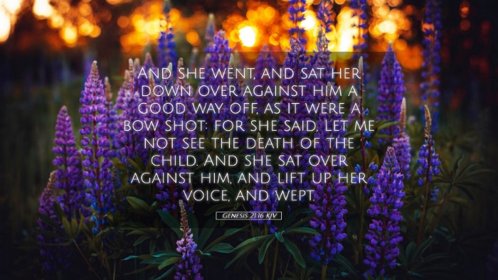 Picture 05 - Genesis 21:16 KJV Desktop Wallpaper - And she went, and sat her down over against him a - Desktop Bible Verse Wallpaper