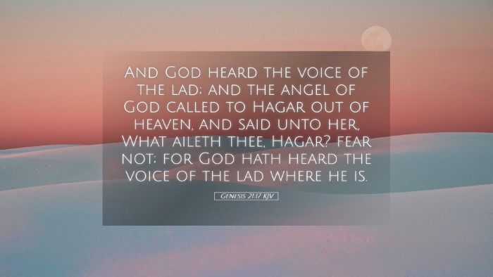 Picture 05 - Genesis 21:17 KJV Desktop Wallpaper - And God heard the voice of the lad; and the angel - Desktop Bible Verse Wallpaper