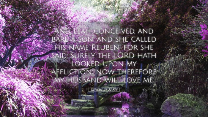 Picture 05 - Genesis 29:32 KJV Desktop Wallpaper - And Leah conceived, and bare a son, and she - Desktop Bible Verse Wallpaper