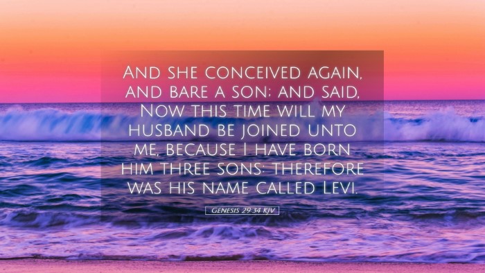 Picture 05 - Genesis 29:34 KJV Desktop Wallpaper - And she conceived again, and bare a son; and - Desktop Bible Verse Wallpaper