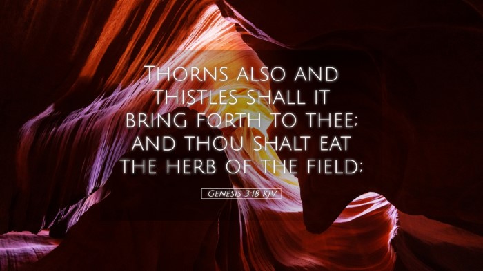 Picture 05 - Genesis 3:18 KJV Desktop Wallpaper - Thorns also and thistles shall it bring forth to - Desktop Bible Verse Wallpaper