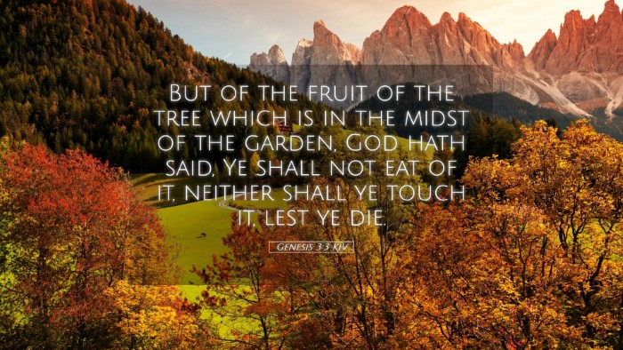 Picture 05 - Genesis 3:3 KJV Desktop Wallpaper - But of the fruit of the tree which is in the - Desktop Bible Verse Wallpaper