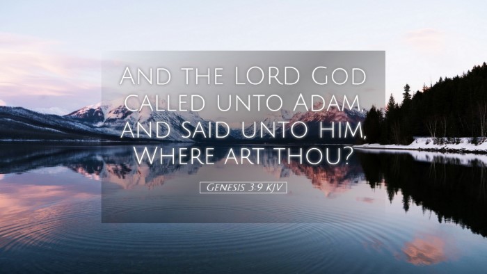 Picture 05 - Genesis 3:9 KJV Desktop Wallpaper - And the LORD God called unto Adam, and said unto - Desktop Bible Verse Wallpaper