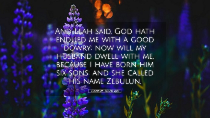 Picture 05 - Genesis 30:20 KJV Desktop Wallpaper - And Leah said, God hath endued me with a good - Desktop Bible Verse Wallpaper