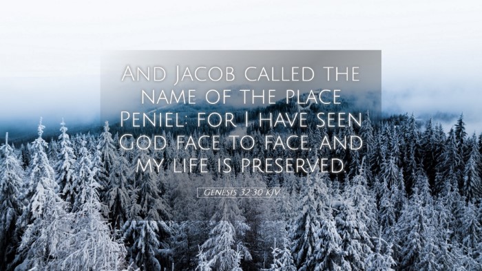 Picture 05 - Genesis 32:30 KJV Desktop Wallpaper - And Jacob called the name of the place Peniel: - Desktop Bible Verse Wallpaper