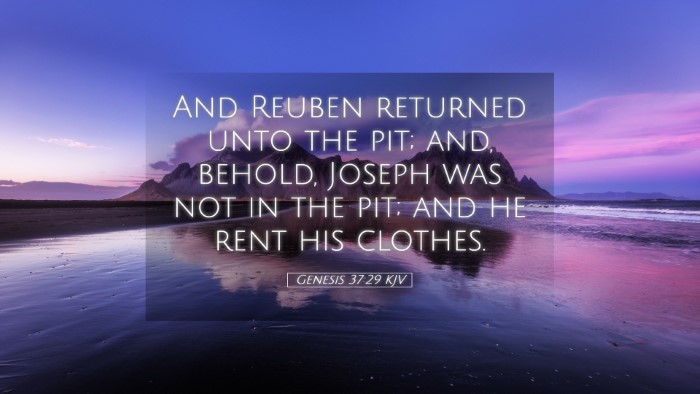 Picture 05 - Genesis 37:29 KJV Desktop Wallpaper - And Reuben returned unto the pit; and, behold, - Desktop Bible Verse Wallpaper