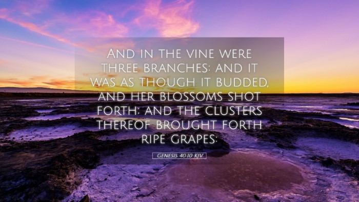 Picture 05 - Genesis 40:10 KJV Desktop Wallpaper - And in the vine were three branches: and it was - Desktop Bible Verse Wallpaper