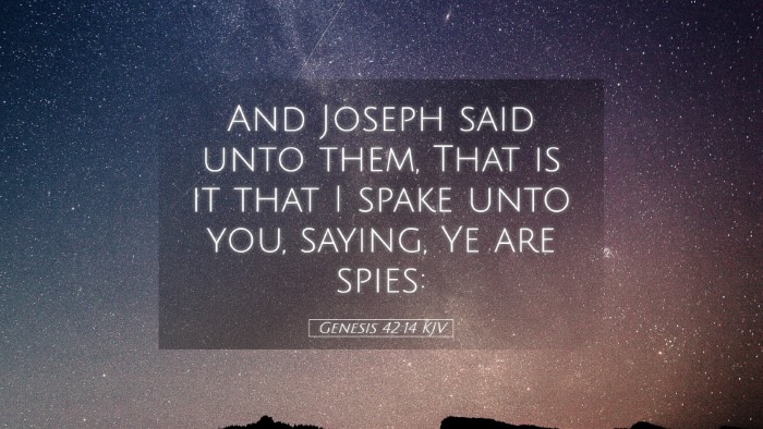 Picture 05 - Genesis 42:14 KJV Desktop Wallpaper - And Joseph said unto them, That is it that I - Desktop Bible Verse Wallpaper
