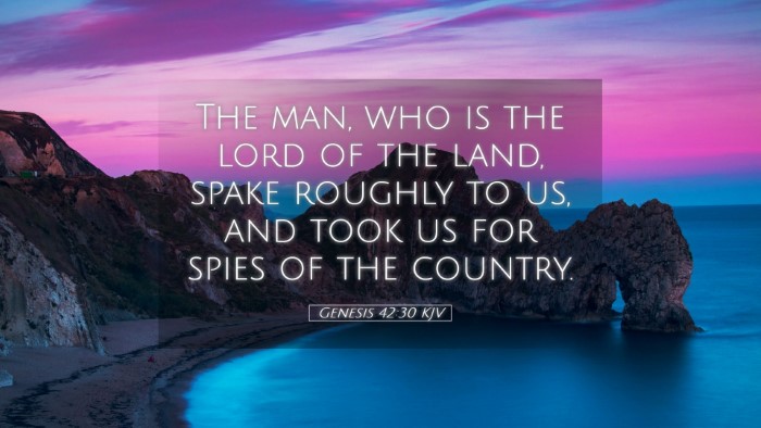Picture 05 - Genesis 42:30 KJV Desktop Wallpaper - The man, who is the lord of the land, spake - Desktop Bible Verse Wallpaper
