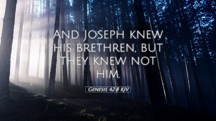 Picture 05 - Genesis 42:8 KJV Desktop Wallpaper - And Joseph knew his brethren, but they knew not - Desktop Bible Verse Wallpaper