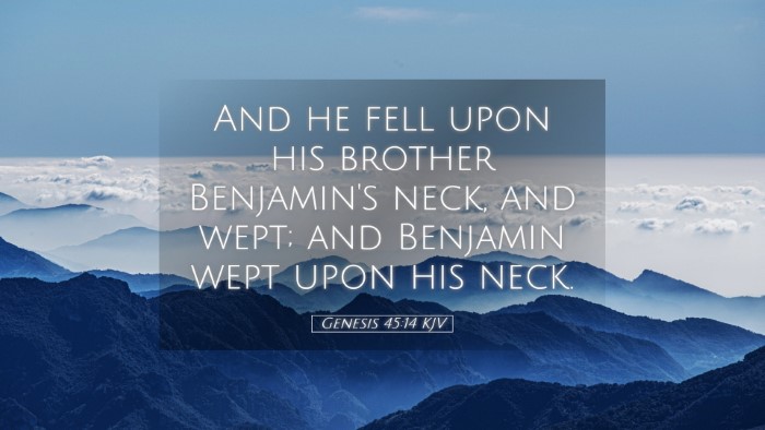 Picture 05 - Genesis 45:14 KJV Desktop Wallpaper - And he fell upon his brother Benjamin's neck, and - Desktop Bible Verse Wallpaper