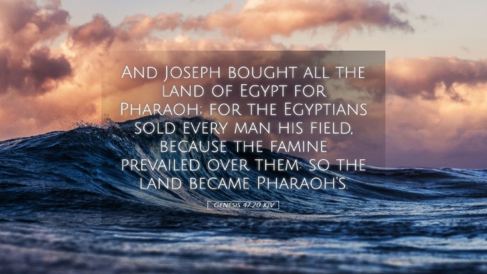 Picture 05 - Genesis 47:20 KJV Desktop Wallpaper - And Joseph bought all the land of Egypt for - Desktop Bible Verse Wallpaper
