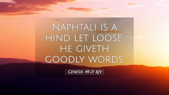 Picture 05 - Genesis 49:21 KJV Desktop Wallpaper - Naphtali is a hind let loose: he giveth goodly - Desktop Bible Verse Wallpaper