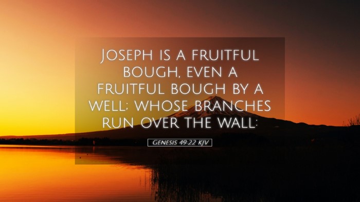 Picture 05 - Genesis 49:22 KJV Desktop Wallpaper - Joseph is a fruitful bough, even a fruitful bough - Desktop Bible Verse Wallpaper