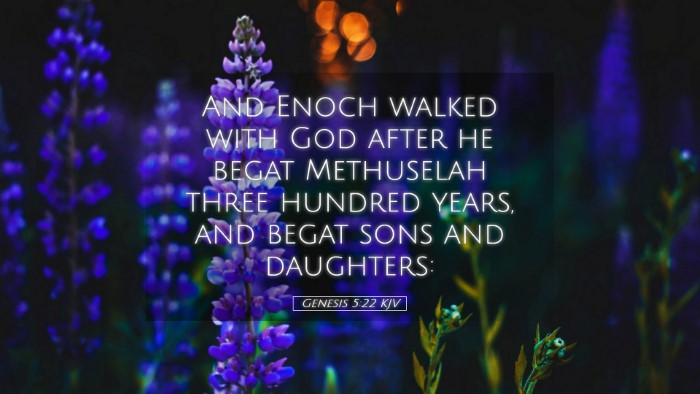 Picture 05 - Genesis 5:22 KJV Desktop Wallpaper - And Enoch walked with God after he begat - Desktop Bible Verse Wallpaper