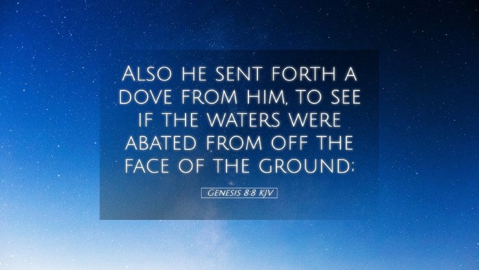Picture 05 - Genesis 8:8 KJV Desktop Wallpaper - Also he sent forth a dove from him, to see if the - Desktop Bible Verse Wallpaper