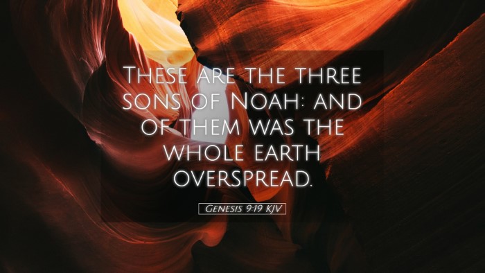 Picture 05 - Genesis 9:19 KJV Desktop Wallpaper - These are the three sons of Noah: and of them was - Desktop Bible Verse Wallpaper