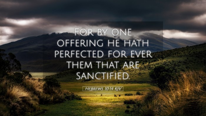 Picture 05 - Hebrews 10:14 KJV Desktop Wallpaper - For by one offering he hath perfected for ever - Desktop Bible Verse Wallpaper