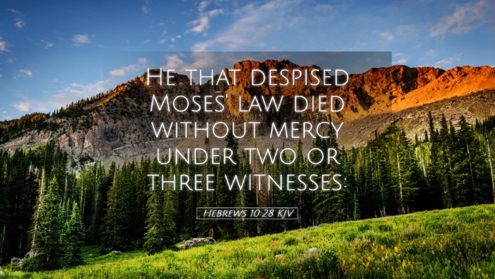 Picture 05 - Hebrews 10:28 KJV Desktop Wallpaper - He that despised Moses' law died without mercy - Desktop Bible Verse Wallpaper