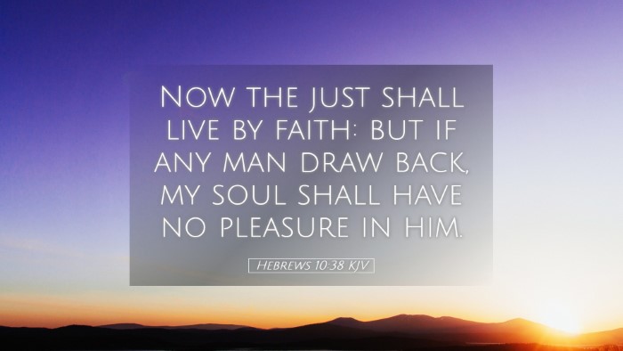 Picture 05 - Hebrews 10:38 KJV Desktop Wallpaper - Now the just shall live by faith: but if any man - Desktop Bible Verse Wallpaper