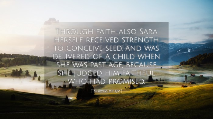Picture 05 - Hebrews 11:11 KJV Desktop Wallpaper - Through faith also Sara herself received strength - Desktop Bible Verse Wallpaper