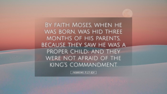 Picture 05 - Hebrews 11:23 KJV Desktop Wallpaper - By faith Moses, when he was born, was hid three - Desktop Bible Verse Wallpaper