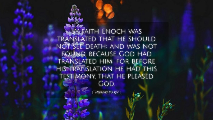 Picture 05 - Hebrews 11:5 KJV Desktop Wallpaper - By faith Enoch was translated that he should not - Desktop Bible Verse Wallpaper