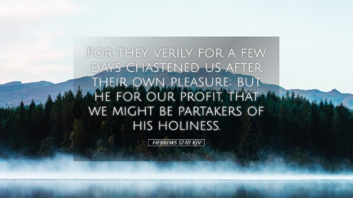 Picture 05 - Hebrews 12:10 KJV Desktop Wallpaper - For they verily for a few days chastened us after - Desktop Bible Verse Wallpaper