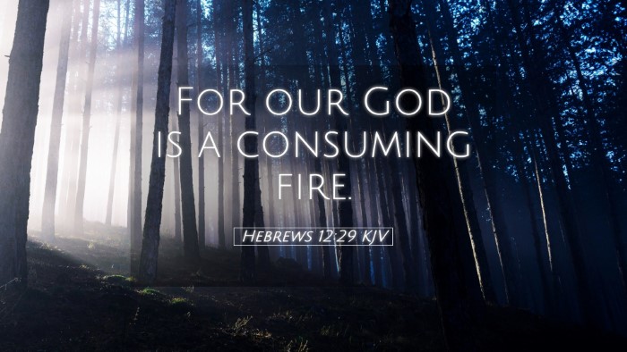 Picture 05 - Hebrews 12:29 KJV Desktop Wallpaper - For our God is a consuming - Desktop Bible Verse Wallpaper