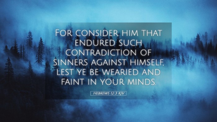 Picture 05 - Hebrews 12:3 KJV Desktop Wallpaper - For consider him that endured such contradiction - Desktop Bible Verse Wallpaper