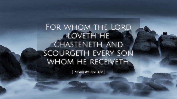 Picture 05 - Hebrews 12:6 KJV Desktop Wallpaper - For whom the Lord loveth he chasteneth, and - Desktop Bible Verse Wallpaper