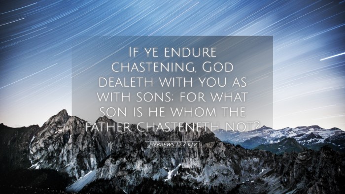 Picture 05 - Hebrews 12:7 KJV Desktop Wallpaper - If ye endure chastening, God dealeth with you as - Desktop Bible Verse Wallpaper