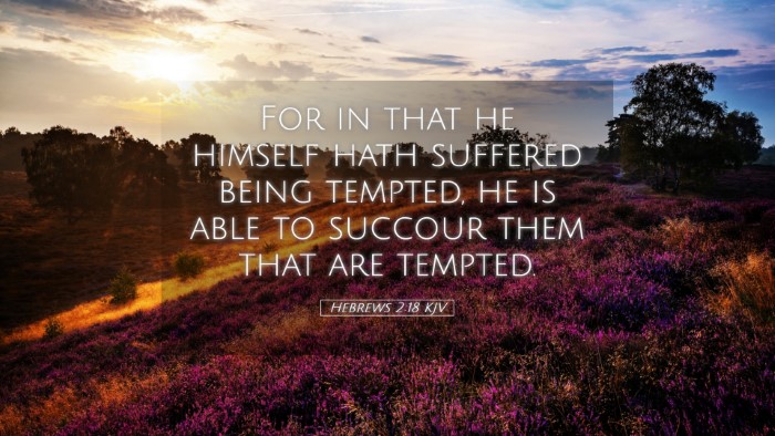 Picture 05 - Hebrews 2:18 KJV Desktop Wallpaper - For in that he himself hath suffered being - Desktop Bible Verse Wallpaper
