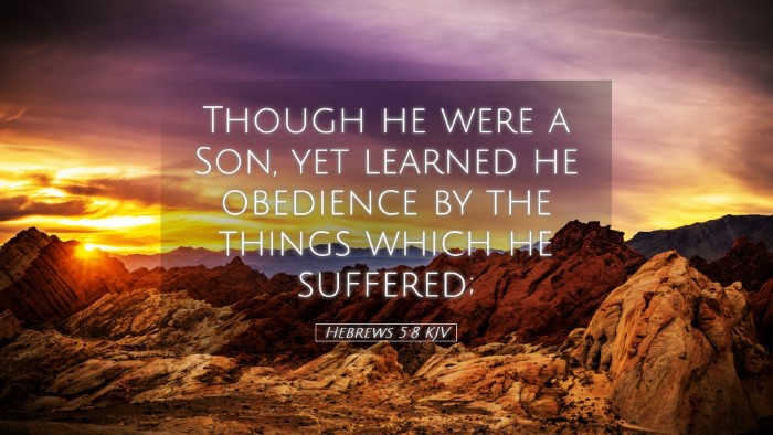 Picture 05 - Hebrews 5:8 KJV Desktop Wallpaper - Though he were a Son, yet learned he obedience by - Desktop Bible Verse Wallpaper