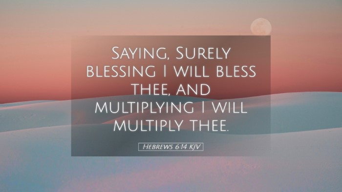 Picture 05 - Hebrews 6:14 KJV Desktop Wallpaper - Saying, Surely blessing I will bless thee, and - Desktop Bible Verse Wallpaper